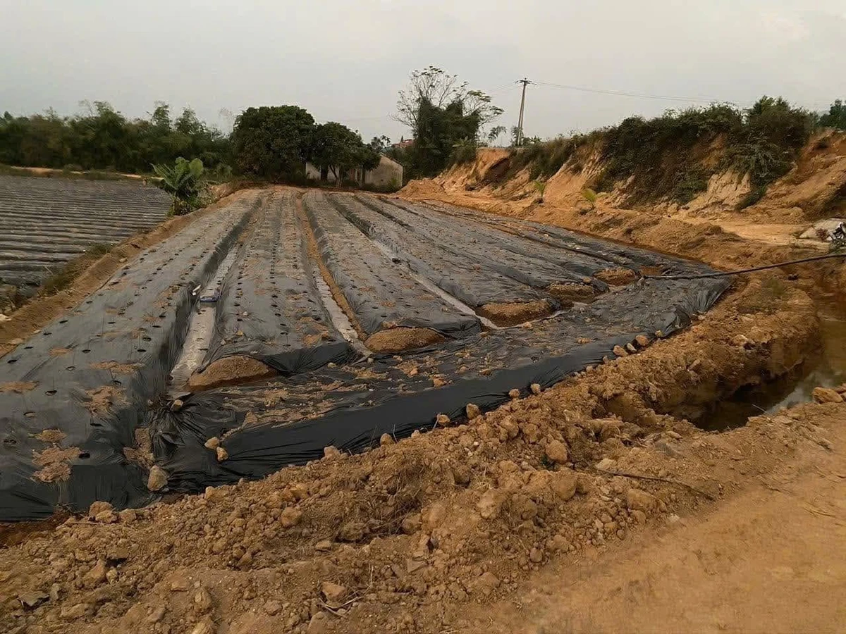 Bán lô đất 2713m2 Đông Triều Quảng Ninh, 1,2 tỷ - Ảnh thu nhỏ 4