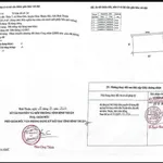 Bán mảnh vườn 1261m² trồng dừa Hàm Thuận, Lâm Đồng 5xx triệu - Ảnh thu nhỏ 2