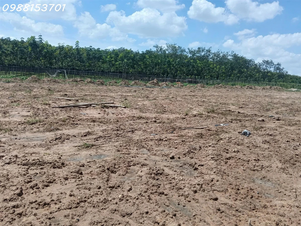 Bán đất tại đường Chánh Phú Hòa 045, phường Chánh Phú Hòa, DT 310m2, pháp lý đầy đủ - Ảnh thu nhỏ 5