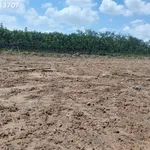 Bán đất tại đường Chánh Phú Hòa 045, phường Chánh Phú Hòa, DT 310m2, pháp lý đầy đủ - Ảnh thu nhỏ 5