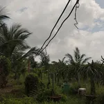 Diện tích lớn 1.4ha, có 500m2 thổ cư, đường ô tô, SHR, tại La Gi, thích hợp làm Homestay, phân lô - Ảnh thu nhỏ 13