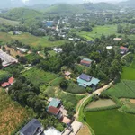 Bán đất nông nghiệp 2000 m² Thanh Oai Hà Nội - Ảnh thu nhỏ 5