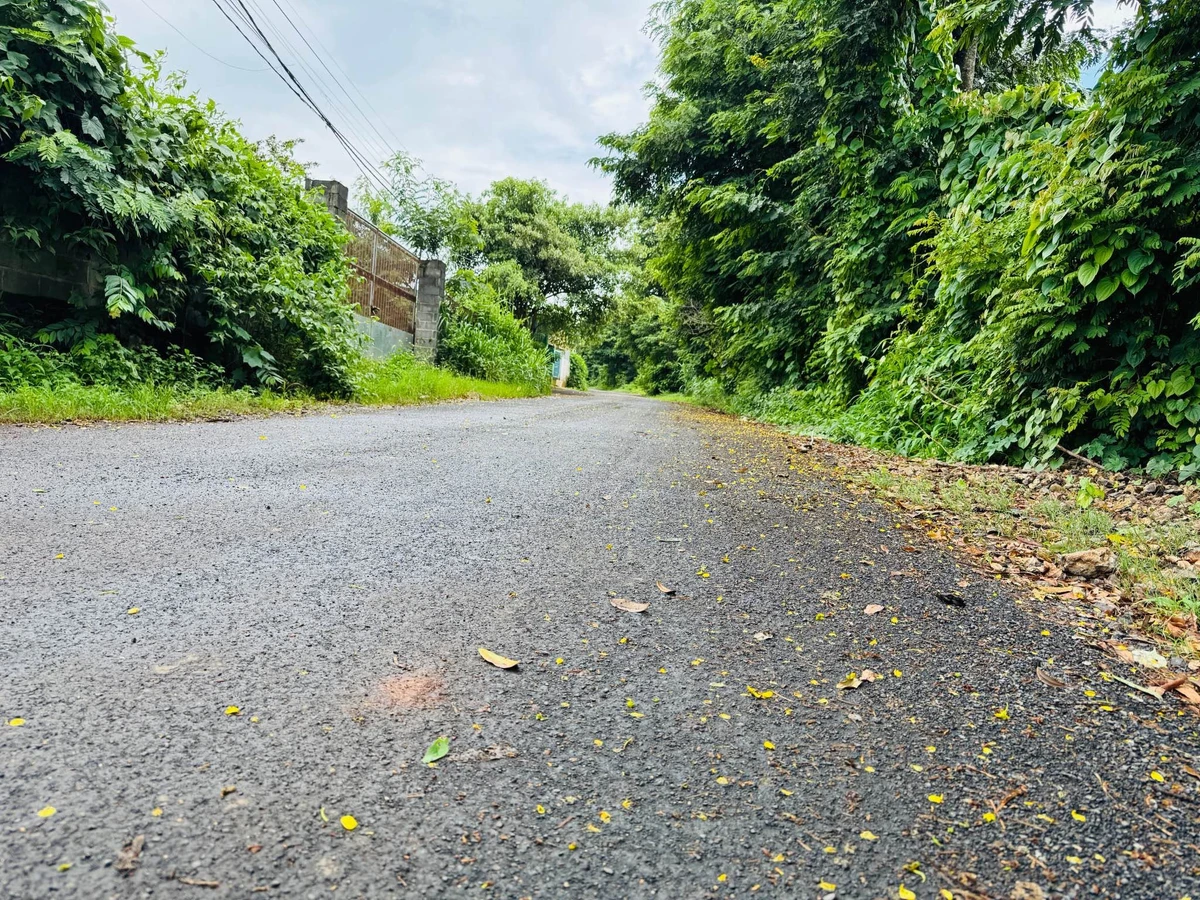 Bán đất vườn 1283m2 (300m2 thổ cư) giá 4,95 tỷ tại phường Tân Lập, Buôn Ma Thuột - Ảnh 1