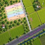 Bán đất thổ cư 175m2 giá 1 tỷ 299 triệu/nền gần Khu TĐC Tân Bửu, Bình Chánh - Ảnh thu nhỏ 1