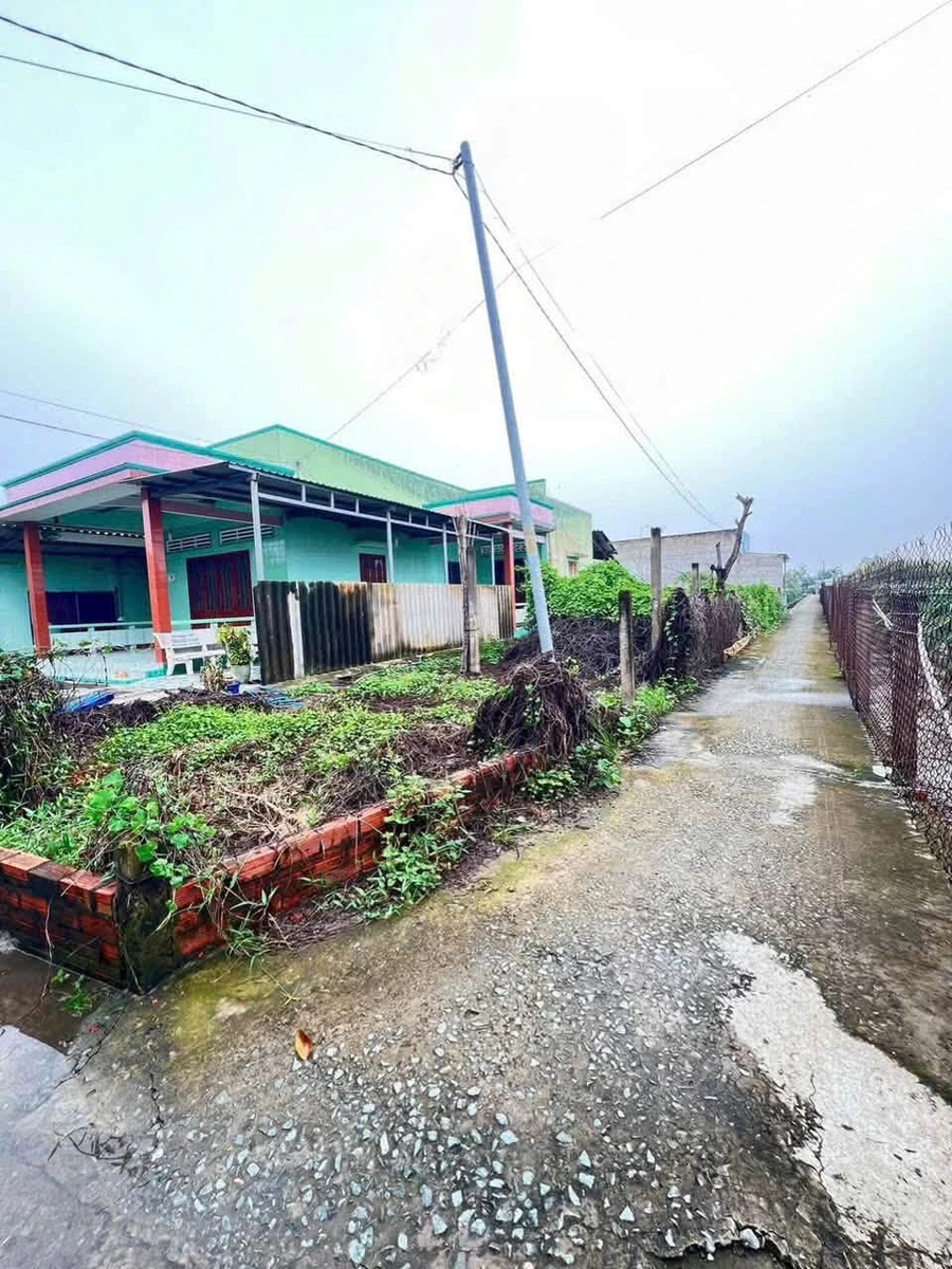 Bán lô đất An Lục Long 160m², 250 triệu, Nhà Bè - Ảnh thu nhỏ 2