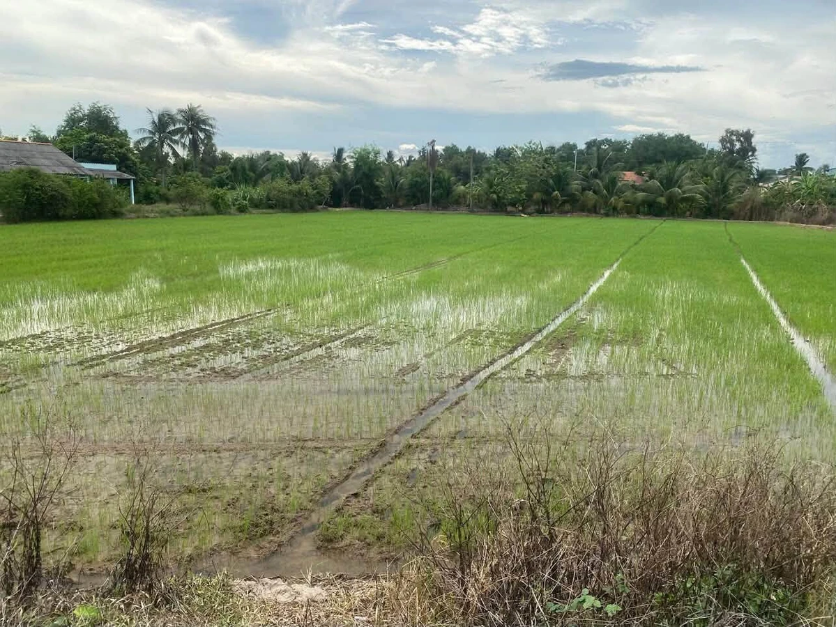 Bán đất 3.911,5m² giáp cao tốc TP.HCM-Trung Lương Tây Ninh - Ảnh thu nhỏ 3