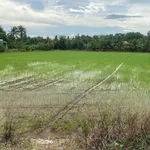 Bán đất 3.911,5m² giáp cao tốc TP.HCM-Trung Lương Tây Ninh - Ảnh thu nhỏ 3