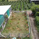 Bán lô đất thổ cư 130m2 góc 2 mặt đường, Lâm Đồng - Ảnh thu nhỏ 3