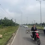 Bán đất phù hợp làm kho xưởng, mặt tiền đường 60m ngang 150m vào khu công nghiệp Giang Điền - Ảnh thu nhỏ 16