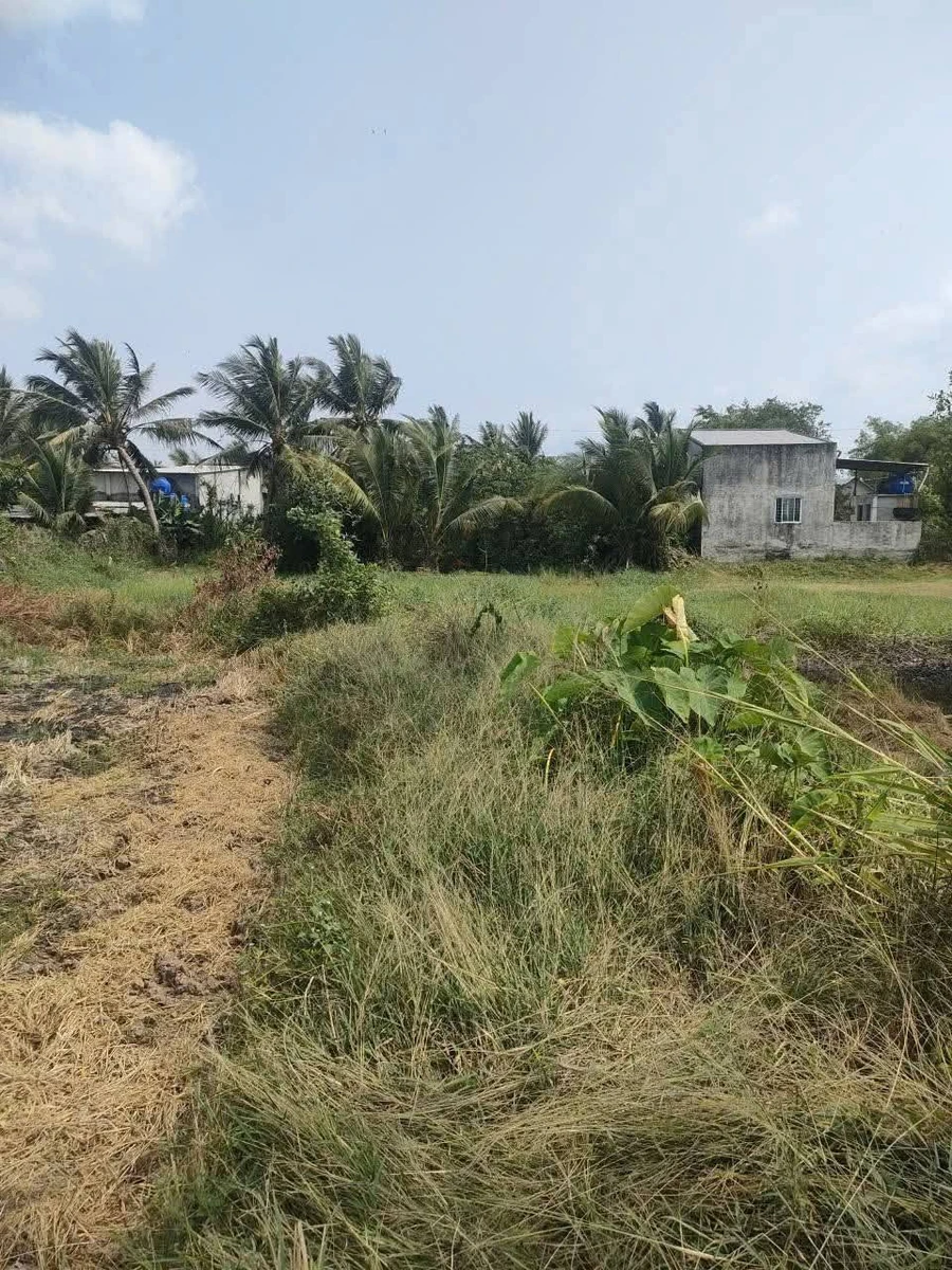 Bán nền đất full thổ 1677 m² giá 1 tỷ 750 triệu tại Tây Ninh - Ảnh thu nhỏ 5