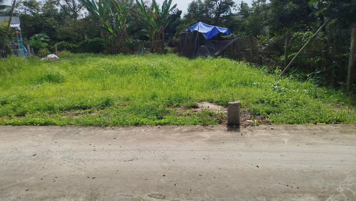 Bán đất nền Phong Điền 81m² giá 350 triệu - Ảnh thu nhỏ 4
