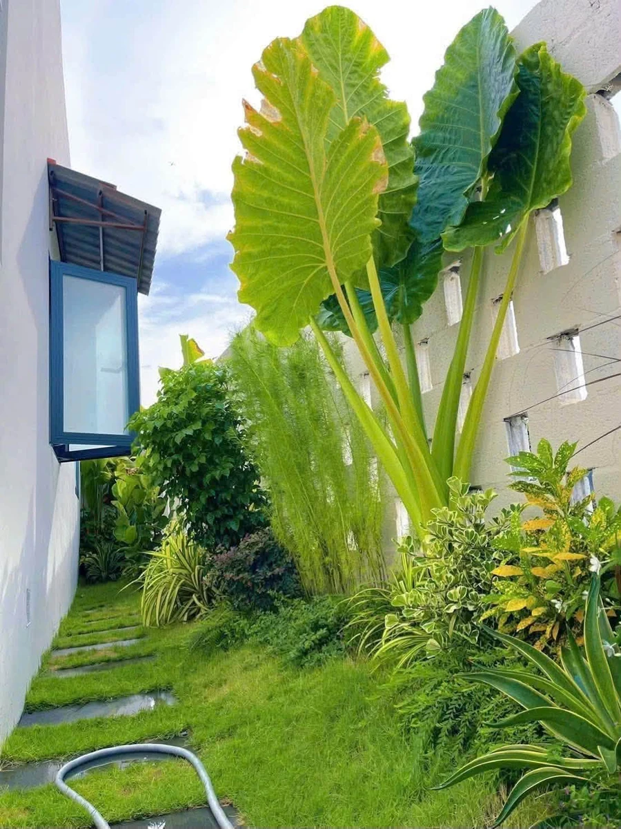 Bán nhà homestay 2PN 107m2 Phan Thiết, Bình Thuận - Ảnh thu nhỏ 3