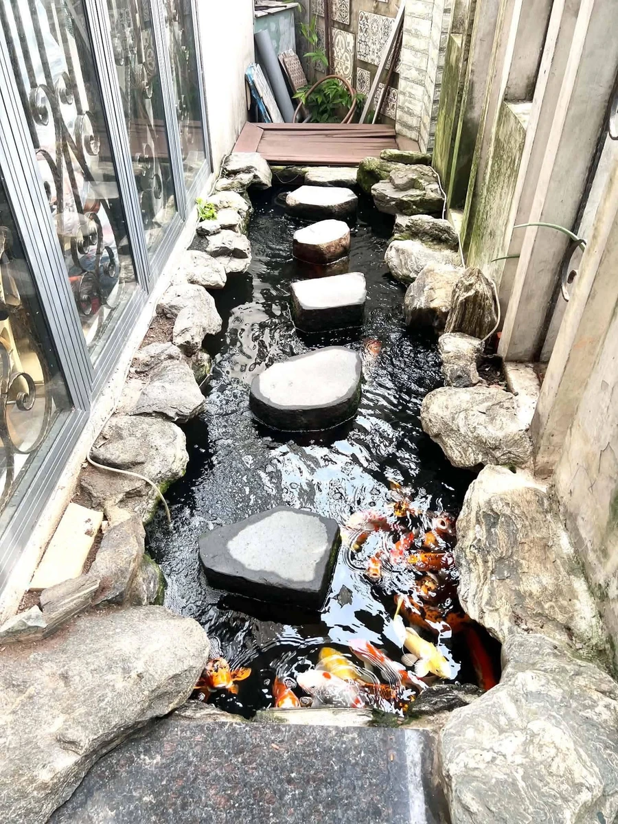 Bán biệt thự 92.5m2 trệt 2 lầu gần Dương Quảng Hàm, Gò Vấp giá 11,5 tỷ - Ảnh thu nhỏ 2