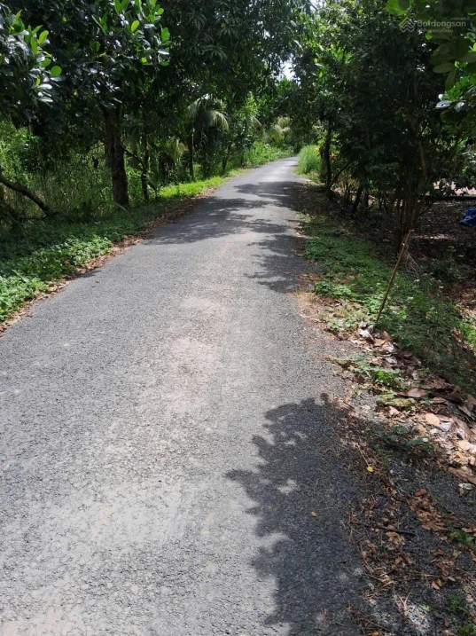 Bán đất tại Mỹ Hòa, Tháp Mười, Đồng Tháp, 6,2 tỷ, 1205 m2 - Hot! View đẹp - Ảnh thu nhỏ 2
