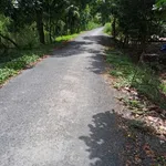 Bán đất tại Mỹ Hòa, Tháp Mười, Đồng Tháp, 6,2 tỷ, 1205 m2 - Hot! View đẹp - Ảnh thu nhỏ 2