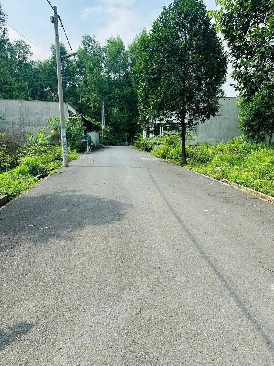 Bán đất 100m² Xã Bình Minh, Đồng Nai 280 triệu - Ảnh thu nhỏ 2