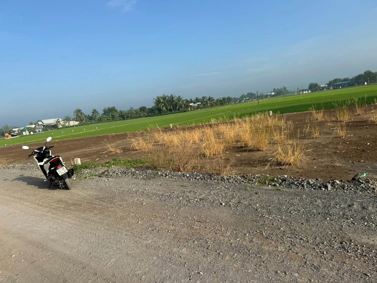 Bán lô đất thổ cư 10,6x21m Nhà Bè 980 triệu - Ảnh thu nhỏ 4