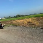 Bán lô đất thổ cư 10,6x21m Nhà Bè 980 triệu - Ảnh thu nhỏ 4