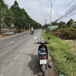 Bán đất thổ lúa mặt tiền 800m2 Long An - Ảnh thu nhỏ 4