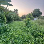 Bán đất 18 x 66.75m (1201.5m²) Phường Long An, Tân An, Long An - Ảnh thu nhỏ 3