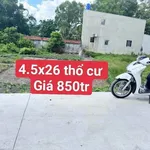 Bán đất thị trấn Đức Hòa 117m² SHR 850 triệu - Ảnh thu nhỏ 1