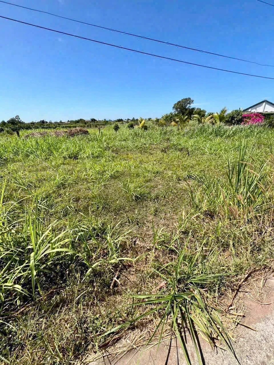 Bán đất sào Hàm Liêm Lâm Đồng 2.5 sào 1000m² - Ảnh thu nhỏ 3