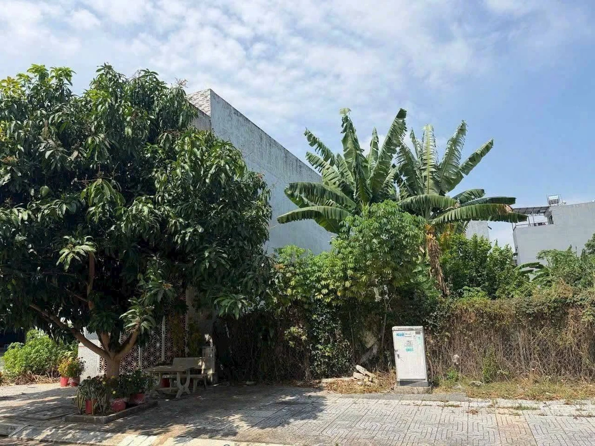 Bán đất mặt tiền Nguyễn Thái Học 95m2, phường Long Toàn, TP Bà Rịa - Ảnh thu nhỏ 2