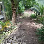 Bán đất 2000m2 với 300m2 thổ cư gần Cần Giờ - Ảnh thu nhỏ 4