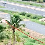 Cho thuê mặt tiền 2300m² tại Sơn Đông, Bà Rịa - Vũng Tàu - Ảnh thu nhỏ 4