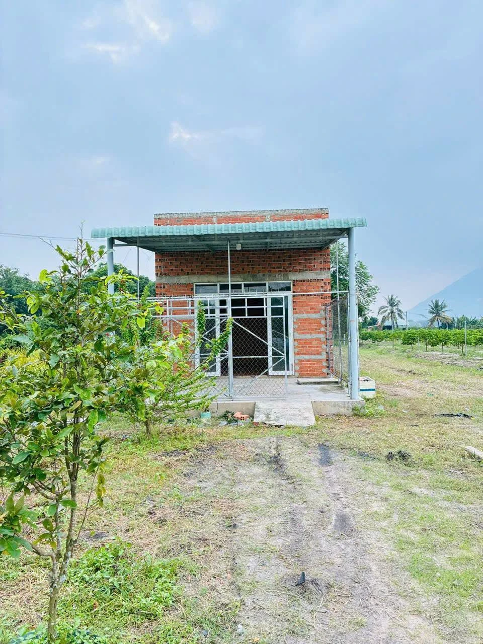 Bán nhà cấp 4 60m² Tân Định 1, 2 phòng ngủ, 469 triệu - Ảnh 1