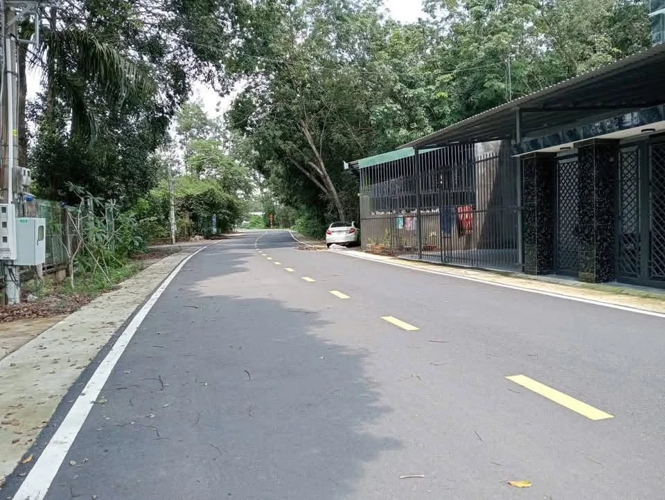 Bán lô đất 2,8 tỷ đường 12m Phú An Bình Chánh - Ảnh 1