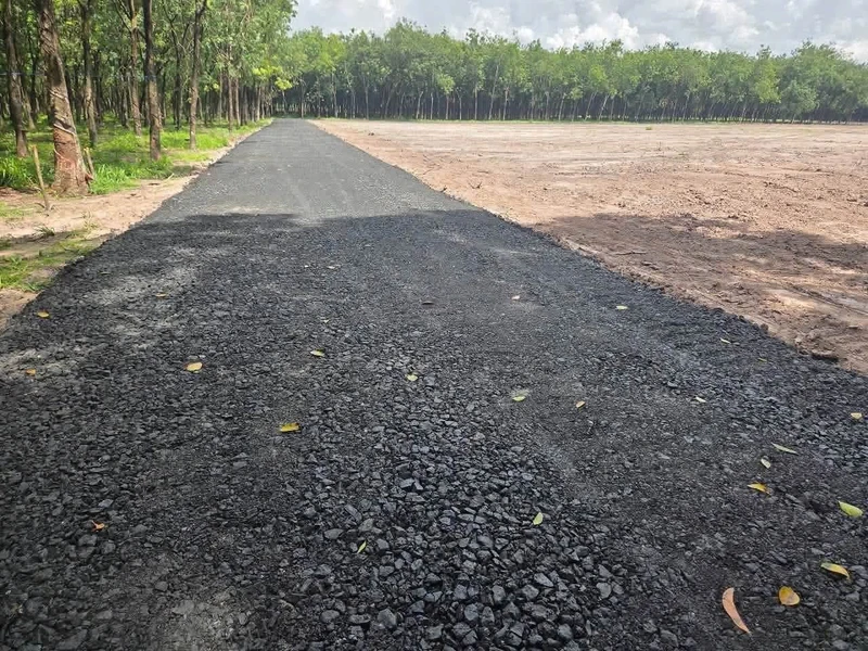 Bán đất Tây Ninh 500m², giá 155 triệu