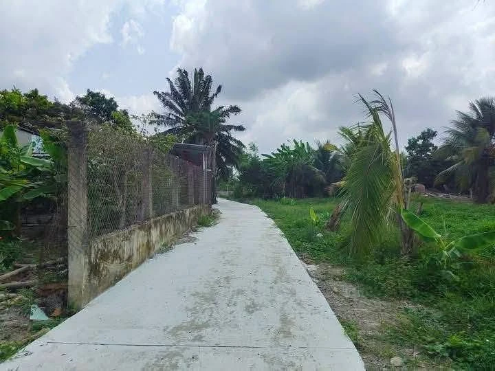 Bán đất 1000m2 Phú Ngãi Trị Châu Thành Long An 1 tỷ 150 triệu - Ảnh 1