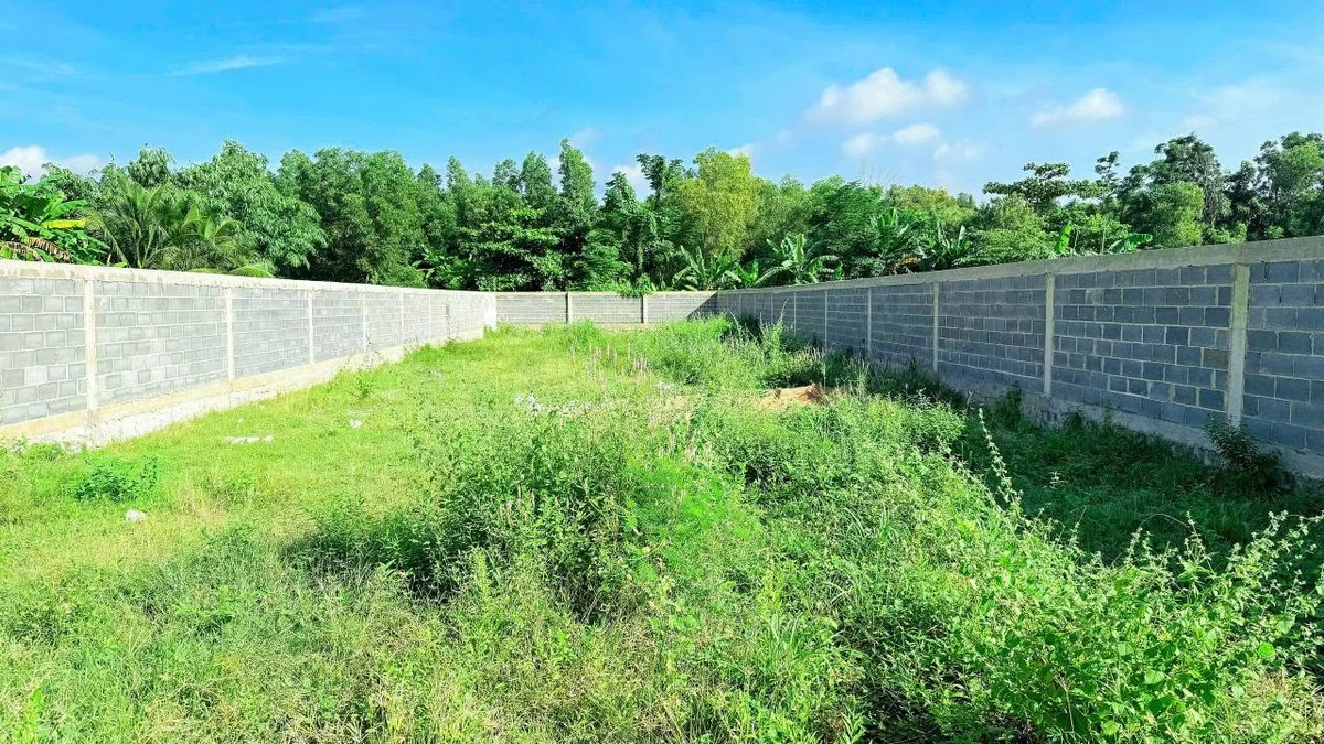 Bán đất mặt tiền Đoàn Trung Còn Đất Đỏ 654m2 - Ảnh thu nhỏ 3