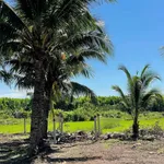 Bán đất mặt tiền Tỉnh Lộ 997 720m2 gần biển 2 tỷ 50 - Ảnh thu nhỏ 2