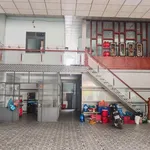 Hàng hiếm, bán đất tặng nhà cấp 4 đường Chánh Phú Hòa 045, 120m2, 2,8 tỷ - Ảnh thu nhỏ 6