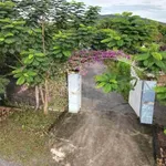 Bán farm 1,6 hecta Ninh Hưng, Ninh Hòa, giá 5,8 tỷ - Ảnh thu nhỏ 2
