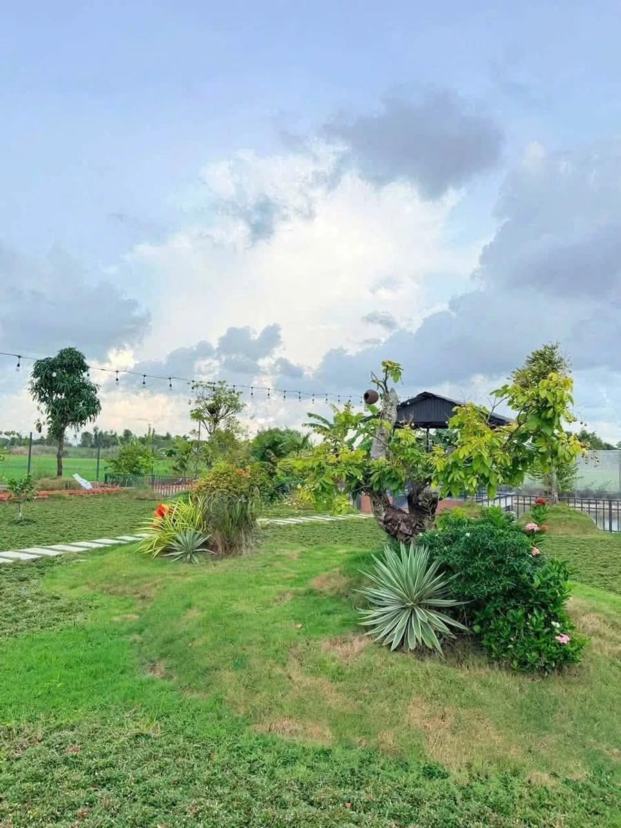 Bán đất vườn sinh thái 1100m² Phường Vĩnh Lợi Bình Tân - Ảnh thu nhỏ 5