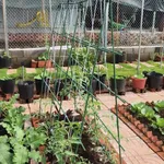 Bán đất mặt tiền 350m² Long Tân, Nhà Bè - 1,75 tỷ - Ảnh thu nhỏ 5