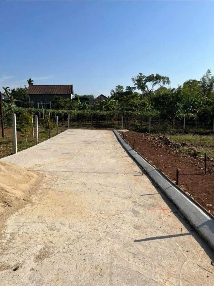 Bán đất góc 2 mặt tiền 125m² Thành Nhất, Bình Tân - 790 triệu - Ảnh thu nhỏ 2
