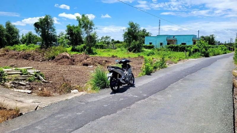 Bán đất lúa mặt tiền 1151m² An Lục, Châu Thành, Long An
