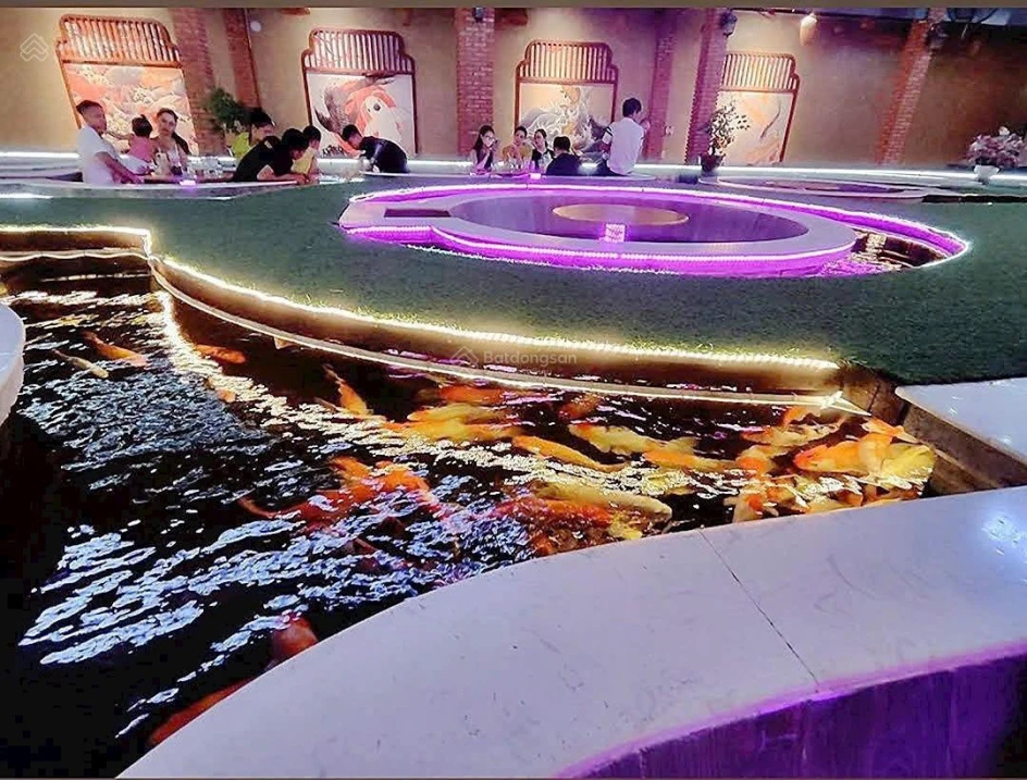 Bán đất gần biển có sẵn mô hình cafe cá Koi 373.8m2 ngang 14m chỉ 54tỷ. Đường Củ Chi, Bắc Nha Trang - Ảnh thu nhỏ 3