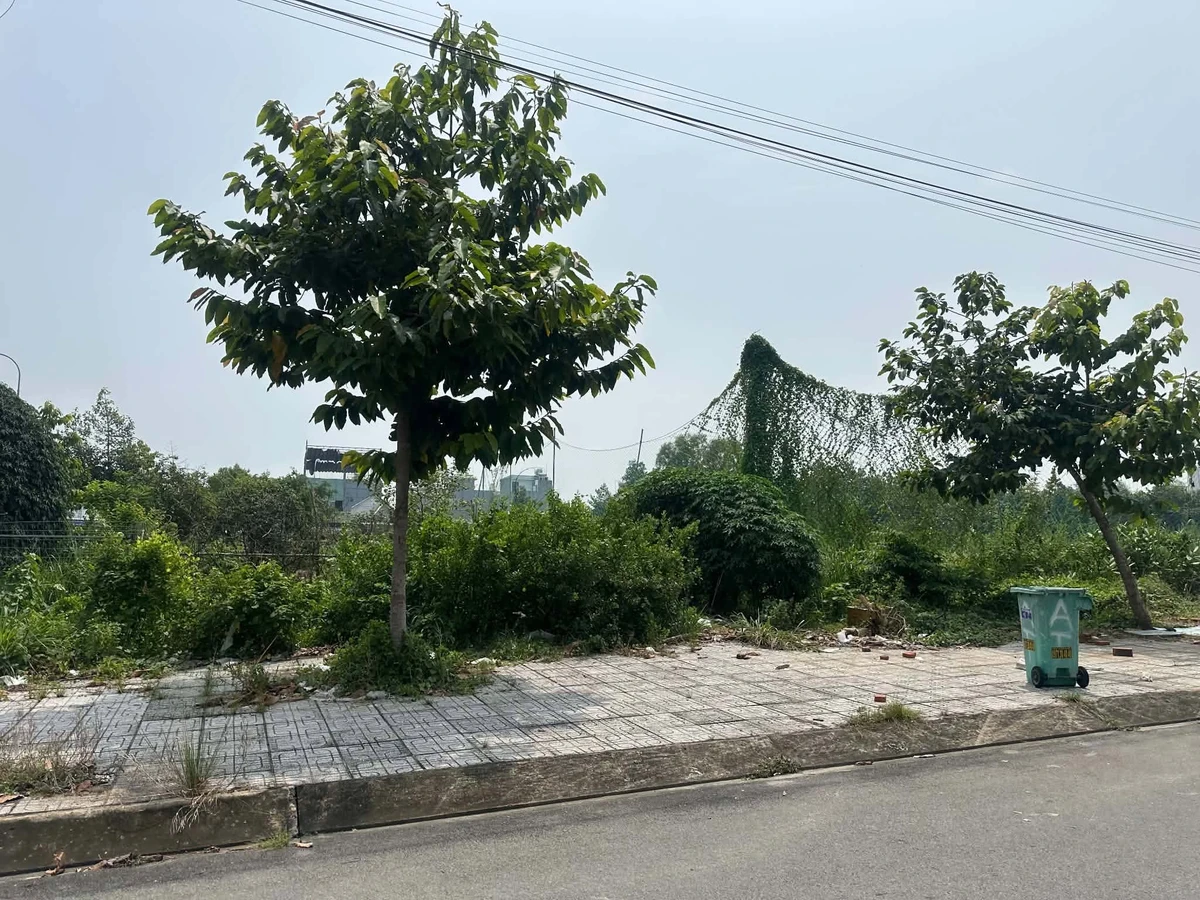 Bán đất Long An 300m² mặt tiền 2,6 tỷ - Ảnh 1