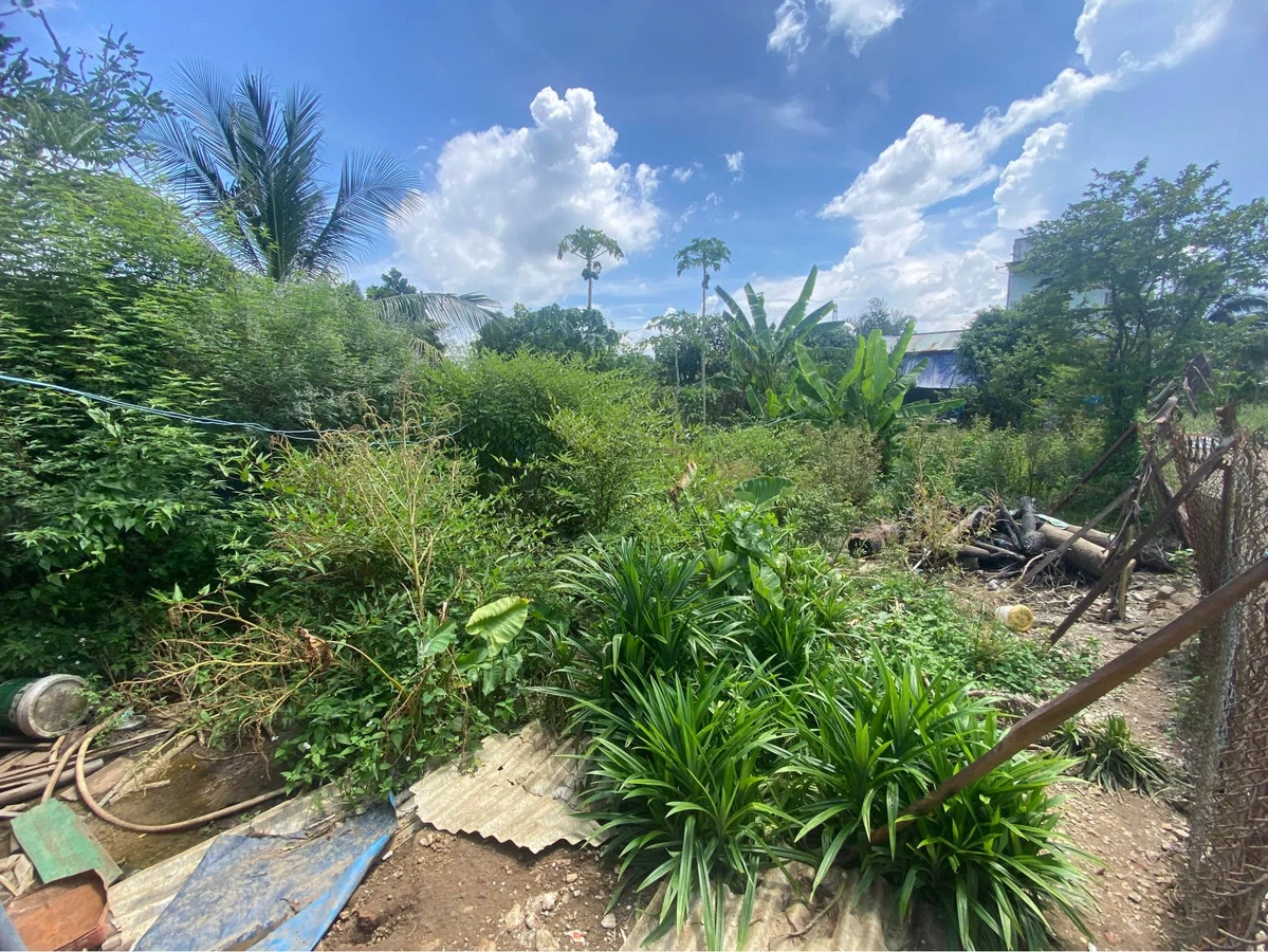 Nhà vườn bán Tân Triều, Tân Bình, 439m2, 3PN, 2.7 tỷ - Ảnh thu nhỏ 3