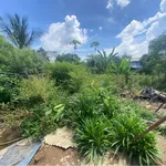 Nhà vườn bán Tân Triều, Tân Bình, 439m2, 3PN, 2.7 tỷ - Ảnh thu nhỏ 3