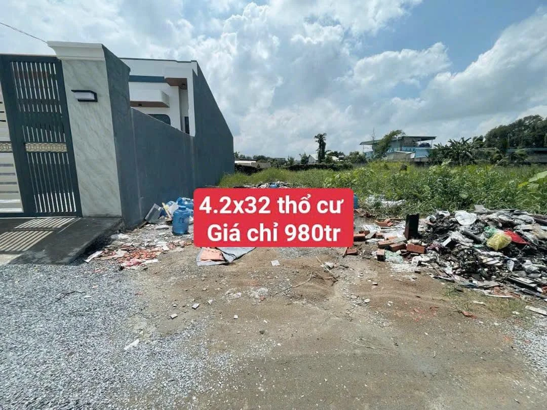 Bán gấp đất thổ cư SHR Ấp Bình Tiền 1 Bình Chánh 134m2 - Ảnh 1