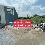 Bán gấp đất thổ cư SHR Ấp Bình Tiền 1 Bình Chánh 134m2 - Ảnh thu nhỏ 1