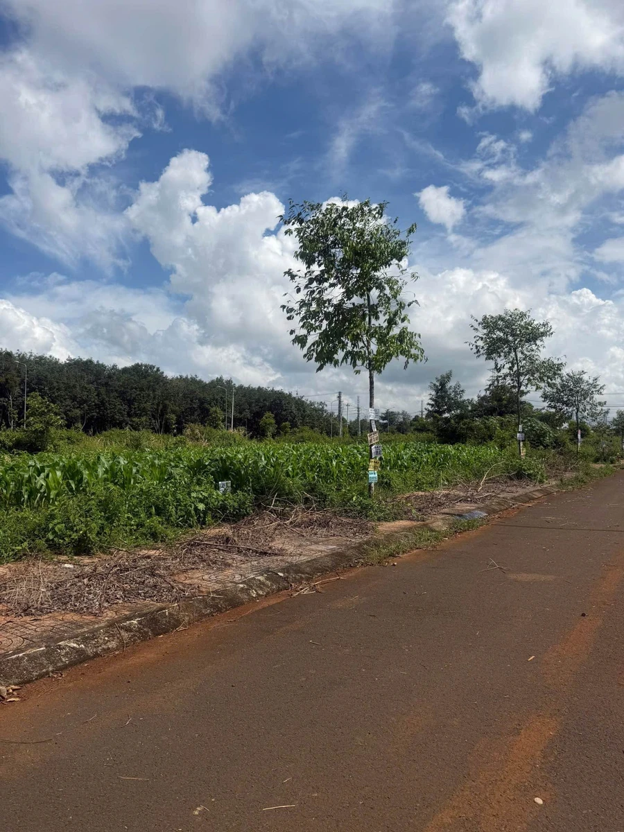 Bán cặp đất đấu giá 132m² view hoàng viên Tân An 3,4 tỷ - Ảnh thu nhỏ 2