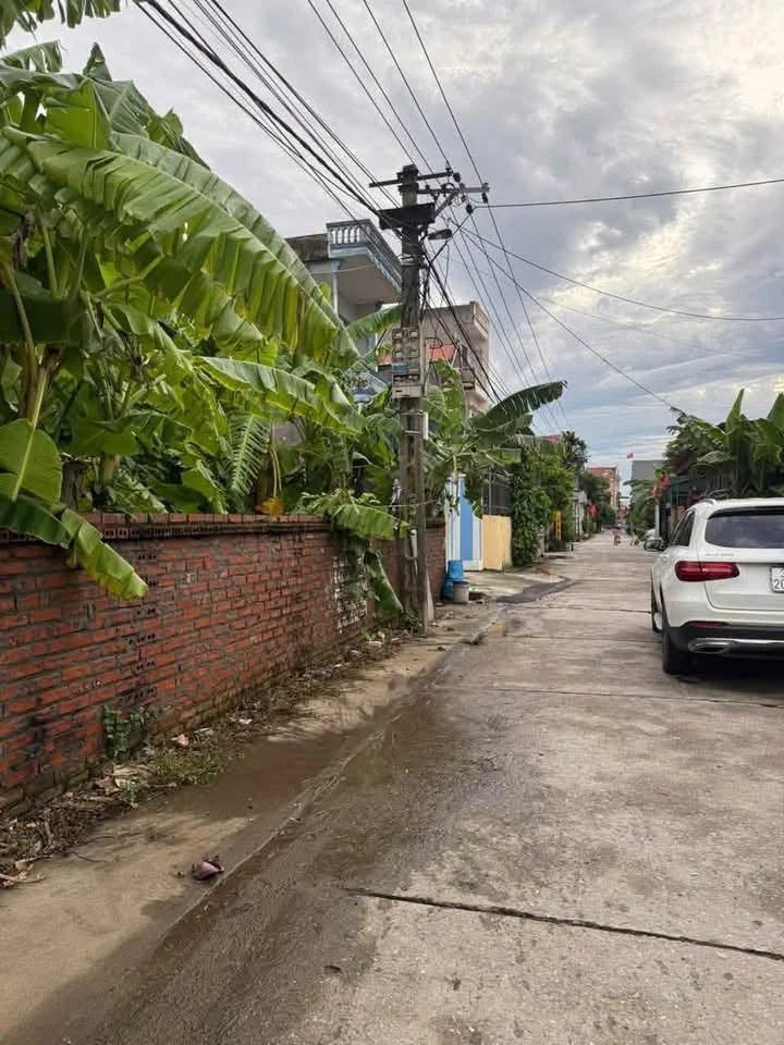 Bán đất Thụy Trà gần 100m², 75m² thổ cư, 1,6 tỷ - Ảnh thu nhỏ 2