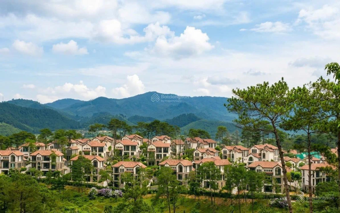 Căn biệt thự đồi thông giá ngoại giao - Ảnh 1